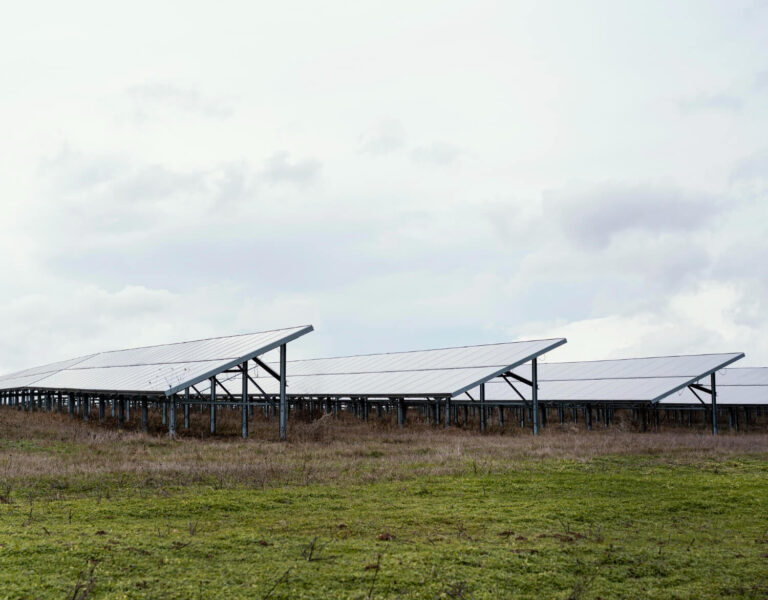 koszenie farm fotowoltaicznych Dolnośląskie
