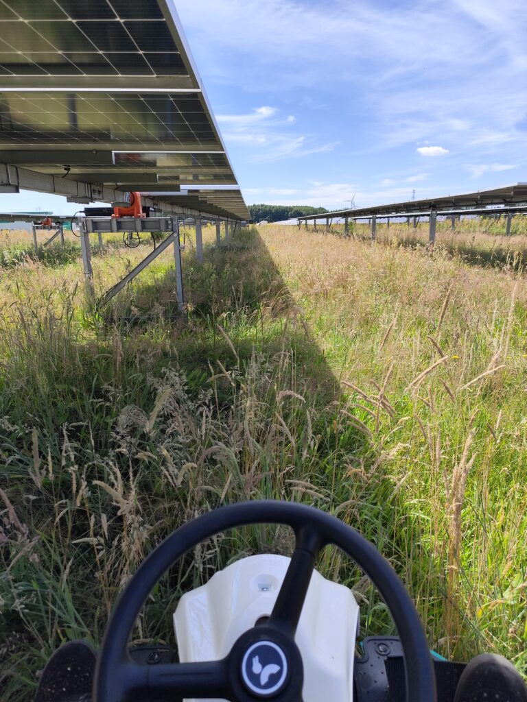 Profesjonalne koszenie farm fotowoltaicznych w Wielkopolsce